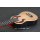 2021 Ukelele eléctrico acústico de nuevo diseño